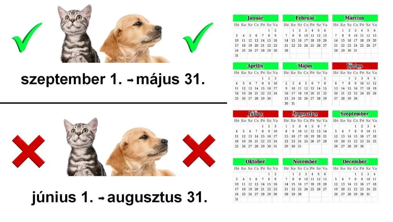 Vadaszles Vendeghaz Bukkszentmarton Luaran gambar