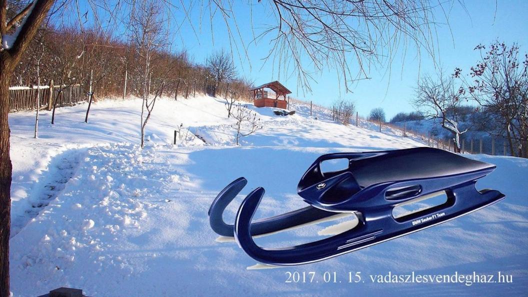 Vadaszles Vendeghaz Bukkszentmarton Luaran gambar